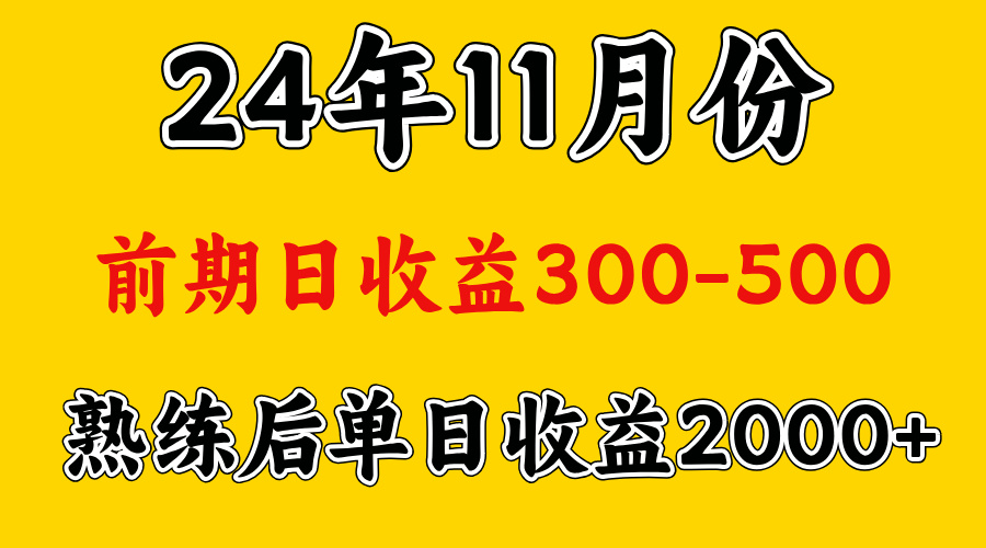 轻资产项目，前期日收益500左右，后期日收益1500-2000左右，多劳多得-沐羽项目网