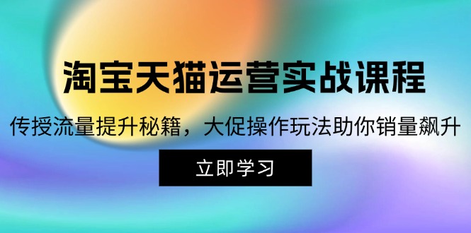 （12959期）淘宝&天猫运营实战课程，传授流量提升秘籍，大促操作玩法助你销量飙升-沐羽项目网