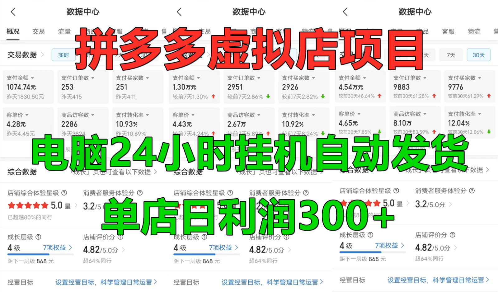 拼多多虚拟店铺项目，电脑挂机自动发货，单店日利润300+-沐羽项目网