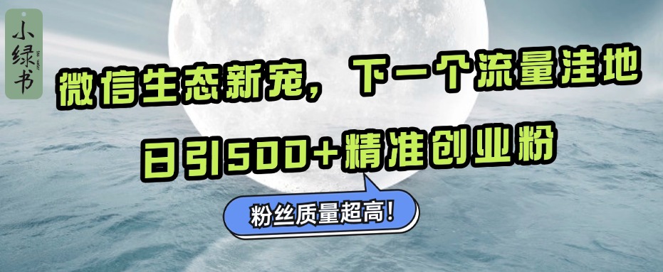 微信生态新宠小绿书：下一个流量洼地，粉丝质量超高，日引500+精准创业粉，-沐羽项目网