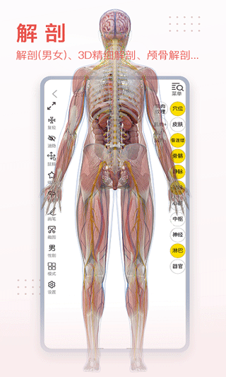 3dbody解剖苹果版 v8.8.21-沐羽项目网