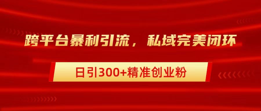 跨平台暴力引流，私域完美闭环，日引300+精准创业粉-沐羽项目网