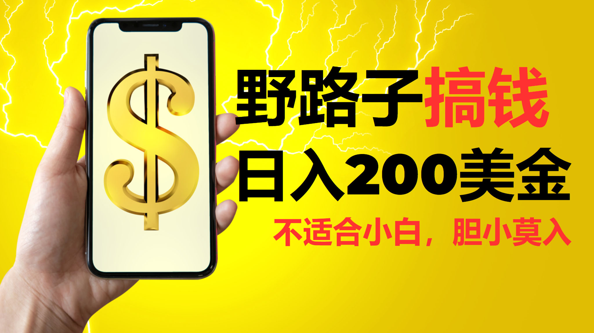 挂机野路子搞钱，日入200美金，路子很野，小白莫入-沐羽项目网