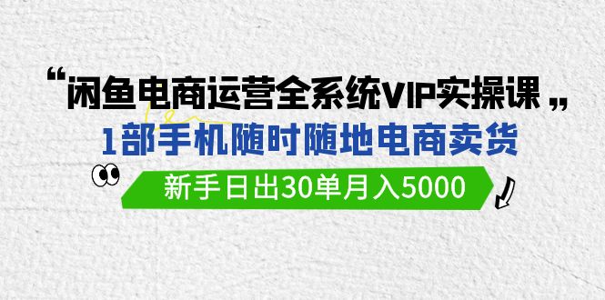 闲鱼电商运营全系统VIP实战课，1部手机随时随地卖货，新手日出30单月入5000-沐羽项目网