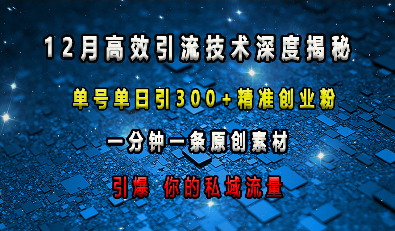 12月高效引流技术深度揭秘 ，单号单日引300+精准创业粉，一分钟一条原创素材，引爆你的私域流量-沐羽项目网