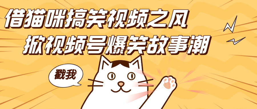 借猫咪搞笑视频之风，掀视频号爆笑故事潮，轻松日赚四位数，开启无门槛赚钱新体验！-沐羽项目网