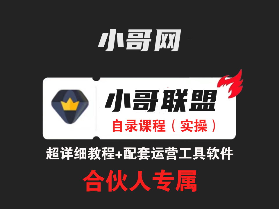 小哥联盟-合伙人 引流技术 高转化文案模板 3天时间打造一个知识付费导师IP开始盈利-沐羽项目网