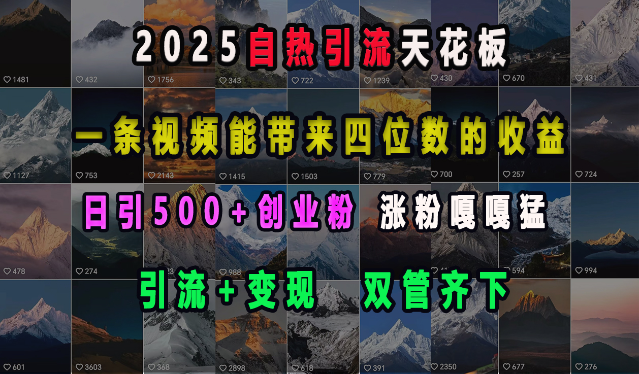 2025自热引流天花板，一条视频能带来四位数的收益，引流+变现双管齐下，日引500+创业粉，涨粉嘎嘎猛-沐羽项目网