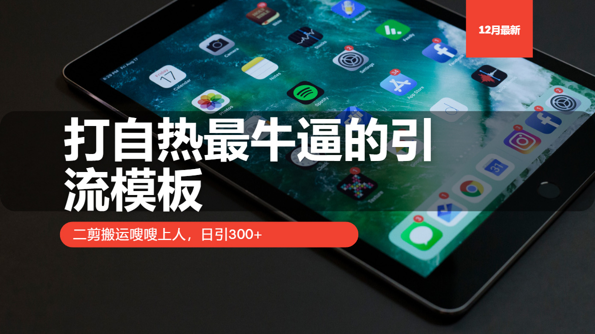 打自热最牛逼的引流模板，日引300+，二剪搬运嗖嗖上人-沐羽项目网