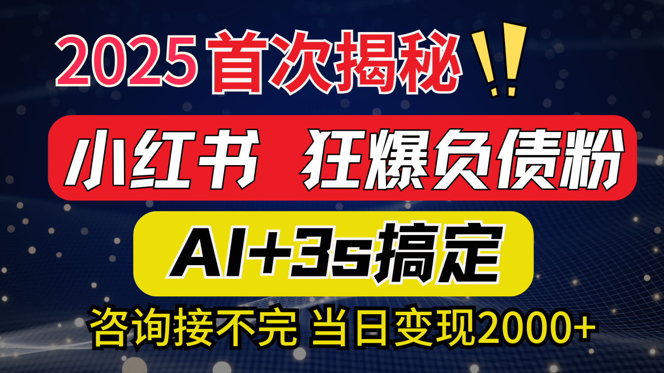 2025引流天花板：最新小红书狂暴负债粉思路，咨询接不断，当日入2000+-沐羽项目网