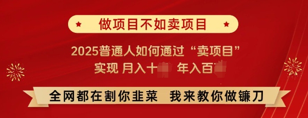 必看，做项目不如卖项目，2025普通人如何通过“卖项目”实现月入十个，年入百个-沐羽项目网