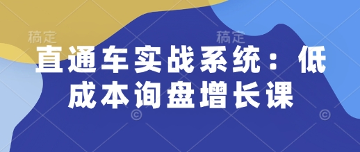 直通车实战系统：低成本询盘增长课，让个人通过技能实现升职加薪，让企业低成本获客，订单源源不断-沐羽项目网