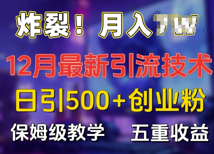 炸裂!揭秘12月最新日引流500+精准创业粉，多重收益保姆级教学-沐羽项目网