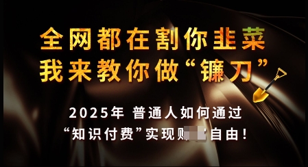 知识付费如何做到月入过W+，2025我来教你做“镰刀”【揭秘】-沐羽项目网