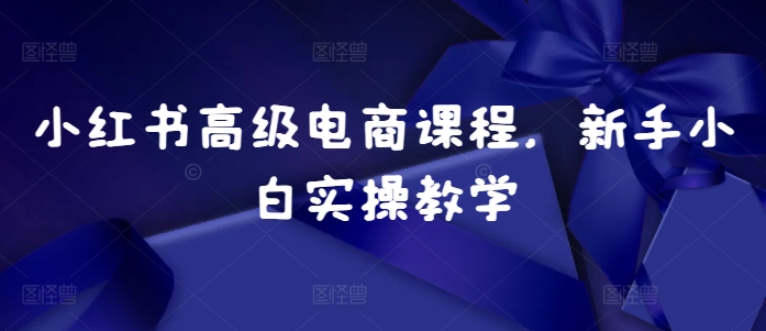小红书高级电商课程，新手小白实操教学-沐羽项目网