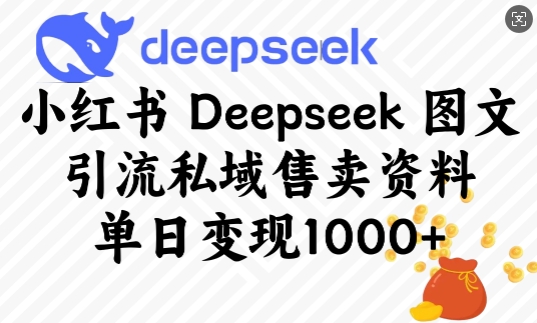 小红书Deepseek图文引流私域售卖资料，单日变现多张-沐羽项目网