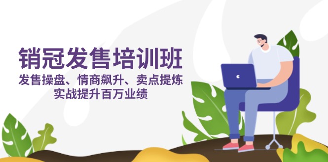 销冠 发售培训班：发售 操盘+情商 飙升+卖点 提炼，实战提升百万业绩-沐羽项目网