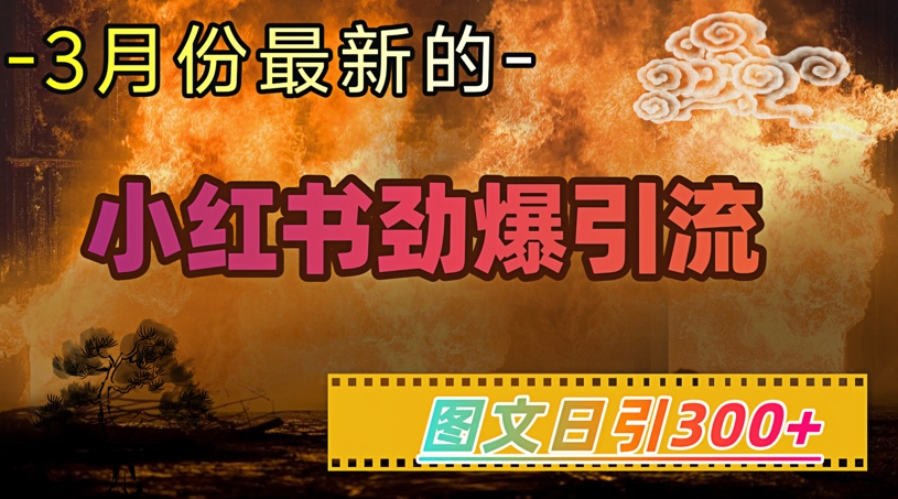 小红书超劲爆引流手段，图文日引300+轻松变现1W-沐羽项目网