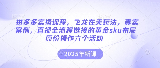 拼多多实操课程，飞龙在天玩法，真实案例，直播全流程链接的黄金sku布局原价操作六个活动-沐羽项目网