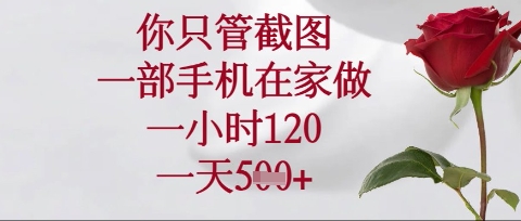 你只管截图，一部手机在家操作，一小时120.一天5张【揭秘】-沐羽项目网