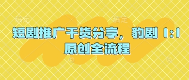 短剧推广干货分享，豹剧 1:1原创全流程-沐羽项目网