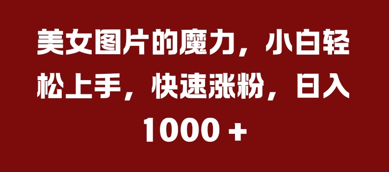 美女图片的魔力，小白轻松上手，快速涨粉，日入几张【揭秘】-沐羽项目网