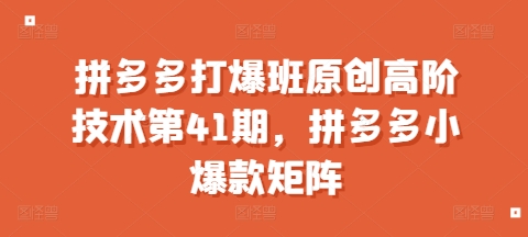 拼多多打爆班原创高阶技术第41期，拼多多小爆款矩阵-沐羽项目网