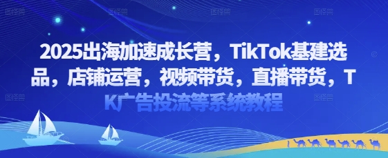 2025出海加速成长营，TikTok基建选品，店铺运营，视频带货，直播带货，TK广告投流等系统教程-沐羽项目网