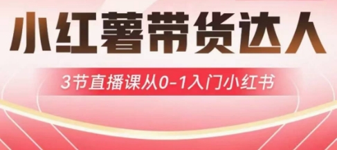 小红薯达人带货启航计划，3节直播课从0-1入门小红书-沐羽项目网