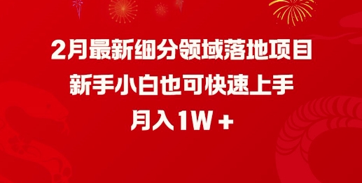 2月最新细分领域落地项目，新手小白也可快速上手，月入1W-沐羽项目网