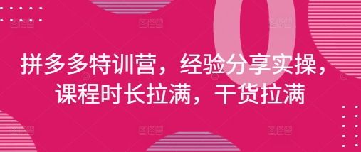 拼多多特训营，经验分享实操，课程时长拉满，干货拉满(更新25年4月)-沐羽项目网