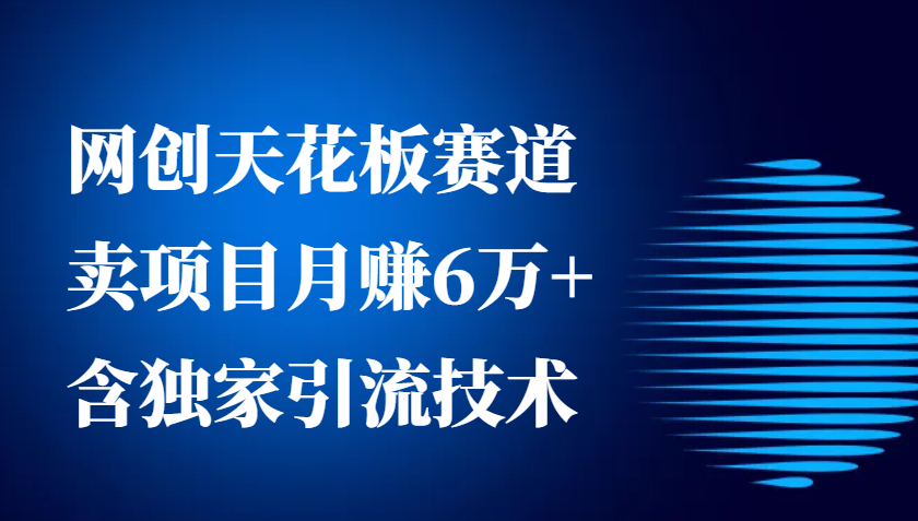 网创天花板赛道，卖项目月赚6万+，含独家引流技术(共26节课)-沐羽项目网