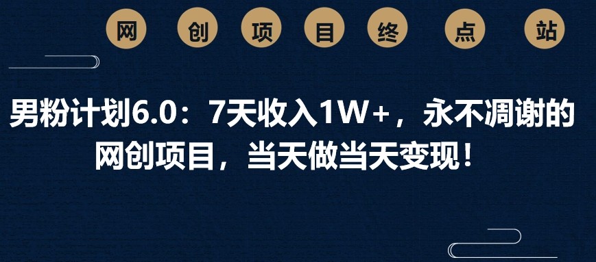 男粉计划6.0：7天收入1W+，永不凋谢的网创项目，当天做当天变现！-沐羽项目网
