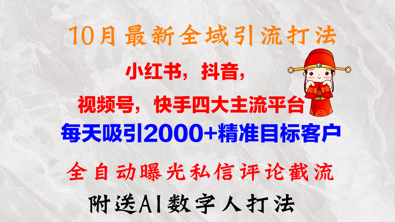 10月最新小红书，抖音，视频号，快手四大平台全域引流，，每天吸引2000…-沐羽项目网