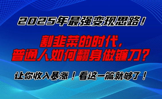 2025年最强变现思路，割韭菜的时代， 普通人如何翻身做镰刀？【揭秘】-沐羽项目网