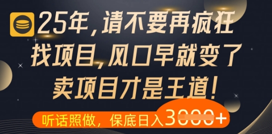 什么？25年你还在疯狂找项目做，醒醒吧，看完这些你全都懂了【揭秘】-沐羽项目网