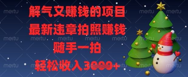 解气又挣钱的项目，最新违章拍照挣钱，随手一拍，轻松收入数张【揭秘】-沐羽项目网