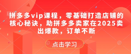 拼多多vip课程，零基础打造店铺的核心秘诀，助拼多多卖家在2025卖出爆款，订单不断-沐羽项目网
