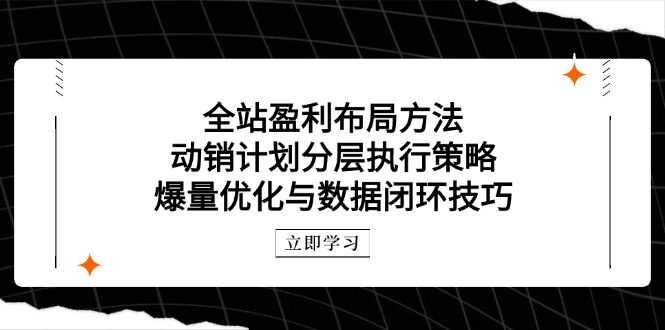 全站盈利布局方法：动销计划分层执行策略，爆量优化与数据闭环技巧-沐羽项目网