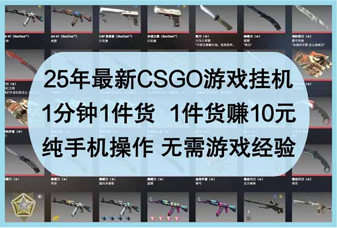 25年最新CSGO游戏挂机，1分钟1件货，1件货赚10元 纯手机操作 无需游戏经验-沐羽项目网
