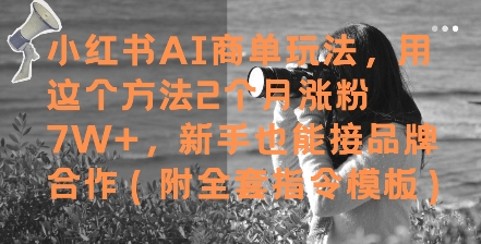 小红书AI商单玩法，用这个方法2个月涨粉7W+，新手也能接品牌合作(附全套指令模板)-沐羽项目网