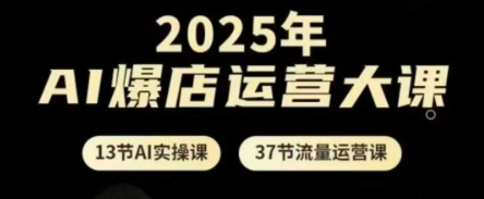 2025年AI爆店运营大课，13节AI实操课+37节流量运营课-沐羽项目网