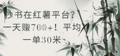 抄书在小红薯平台？平均一单30米，一天收益几张！-沐羽项目网