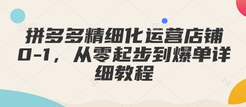 拼多多精细化运营店铺0-1，从零起步到爆单详细教程-沐羽项目网