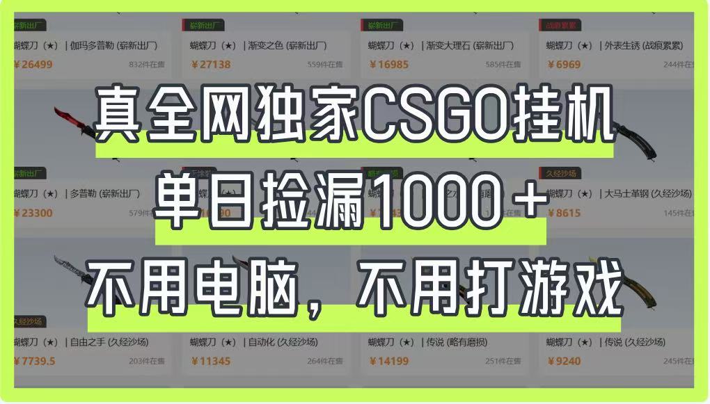 真全网独家CSGO挂机，单日捡漏1000+，不用电脑，不用养号-沐羽项目网