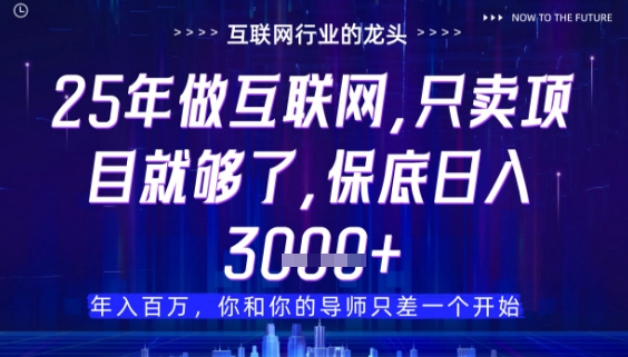 什么！25年你还在找项目做？风口早就变了，卖项目才是稳挣不赔【揭秘】-沐羽项目网