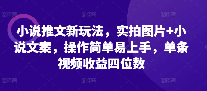 小说推文新玩法，实拍图片+小说文案，操作简单易上手，单条视频收益四位数-沐羽项目网