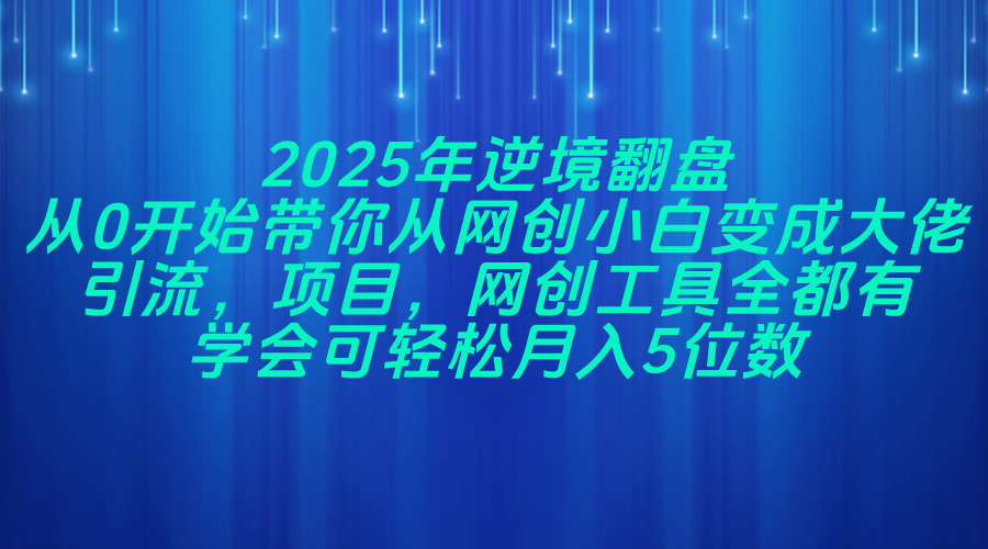 2025年逆境翻盘，从0开始带你从网创小白变成大佬，引流，项目，网创工…-沐羽项目网