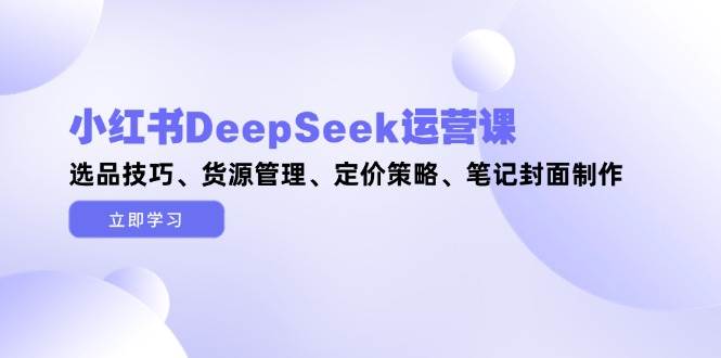 小红书DeepSeek运营课，选品技巧、货源管理、定价策略、笔记封面制作-沐羽项目网