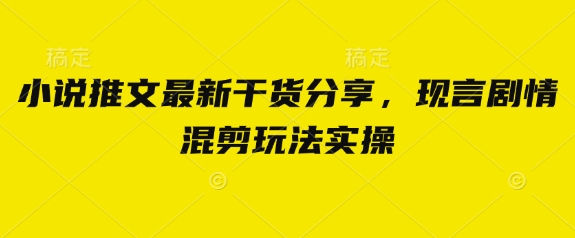 小说推文最新干货分享，现言剧情混剪玩法实操-沐羽项目网